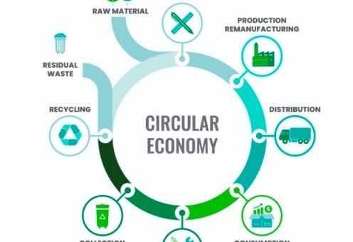 Navigating the Circular Economy: Transforming Business Practices for Sustainability