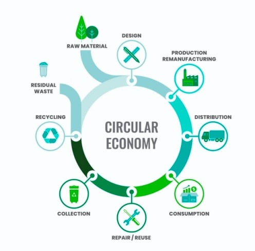 Navigating the Circular Economy: Transforming Business Practices for Sustainability