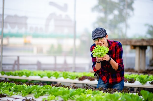 Cultivating Sustainability: The Rise of Urban Farming Projects
